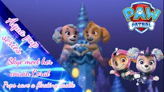 Paw Patrol Mighty Pups Intro and Toys [upl. by Duwalt]