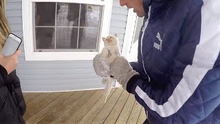 Trovano un gatto congelato in giardino Quello che accade è un vero miracolo damore [upl. by Ardolino]