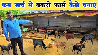 सुधीर सर से सीखिए बकरी फार्म कैसे बनाएं  Goat farm shed design  Goat farm [upl. by Lozar]