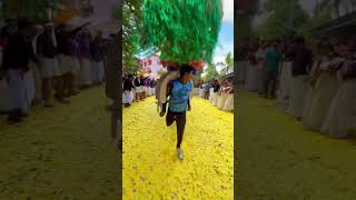 Sree buddha college of engineeringcollege vibes explore trending kavadi dance sreebrahma [upl. by Muire]