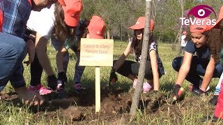 Plantación escolar en Puertollano [upl. by Ogirdor]