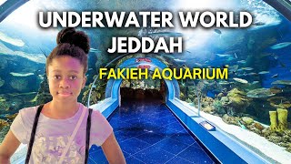 JEDDAH جِدَّة FAKIEH AQUARIUM Exploring the Largest Underwater World  Move To Saudi Arabia🇸🇦 [upl. by Efeek690]