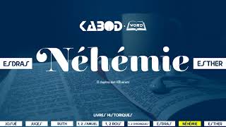 « Néhémie »  LAncien Testament  La Sainte Bible audio VF Complète [upl. by Waechter]