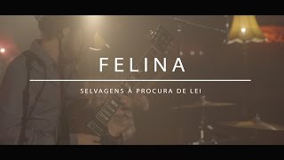 Selvagens à Procura de Lei  Felina AudioArena Originals [upl. by Erlandson]