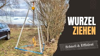 Wurzel ziehen Baumwurzel entfernen Stump Removal bautrisystem [upl. by Chessy]