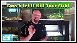 How to Lower Nitrites in an Aquarium [upl. by Moffat675]