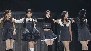 Red Velvet  Wildside Live Performance Tokyo 2024 [upl. by Atsyrhc544]