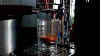 Espresso Shot Pulled on La Pavoni Professional [upl. by Nollahp]