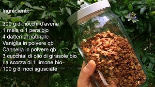 Granola Sugarfree Mipiacemifabene [upl. by Katinka]