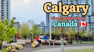 Calgary Canada  Calgarys One of the nicest neighborhood Calgary canada alberta [upl. by Latreece355]