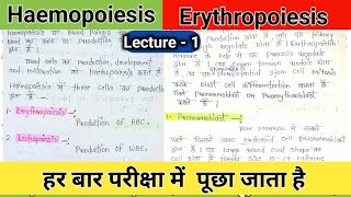 haemopoiesis notes  hematopoiesis  erythropoiesis physiology  erythropoietin  rbc production [upl. by Holly-Anne462]