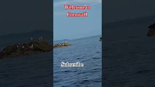 Welcome to Cornwall [upl. by Peppel885]