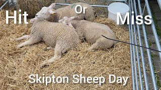 Skipton Sheep Day HIT or MISS [upl. by Hoopen]