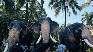 Kunninmal Bhagavathi shatram Anayutte [upl. by Thomasina]