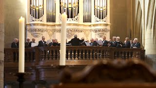 Weerter Mannenkoor in de Sint Christoffelkathedraal [upl. by Benito]