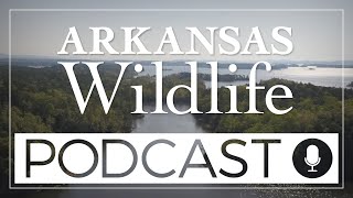 Arkansas Wildlife Podcast Episode 20 Lake Conway Renovation [upl. by Delsman]