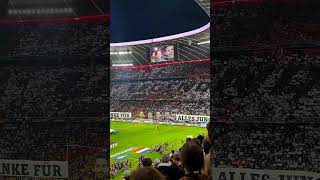 Germany vs Netherlands  Honoring legends 🥶 highlights [upl. by Anifares150]