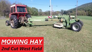 Mowing Hay  2nd Cutting West Field  Massey Ferguson 1105 amp Krone 2801cv Disc Mower Conditioner [upl. by Wenger212]