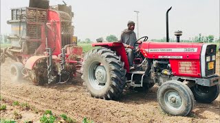 Sugar beet Harvester Machine Thailand made working with Massey Ferguson Tractor [upl. by Rothstein376]