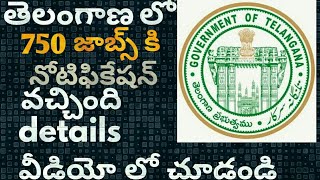 Telangana Jobs Notification 2017  telangana job notifications 2017  ts job updates [upl. by Palmer]