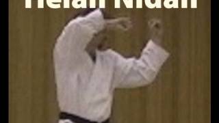 Heian Nidan  Shotokan Karate Kata [upl. by Voletta]