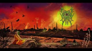 Chemical Exposure  Sick Mutant Society [upl. by Newfeld]