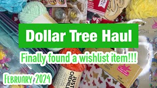 Dollar Tree Haul  February 2024 [upl. by Ziwot664]