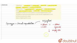 Assertion A In Spirogyra some cells in one of the two filaments become empty after conjugati [upl. by Quartus]