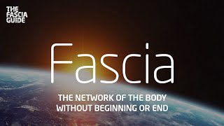 Fascia Documentary The network of the body without beginning or end [upl. by Sheya]