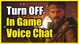 How to Turn Off the in game Voice Chat in COD Black Ops 6 amp MUTE Easy Tutorial [upl. by Ycnan]