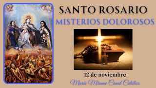 🙏🏼✨ santorosariodehoy misteriosdolorosos 12denoviembre LetaníasalosFielesDifuntos 🙏🏼✨ [upl. by Mckay80]