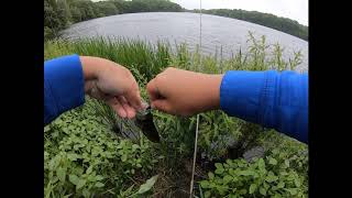 fishing at Findlay for crappie [upl. by Sheffy]