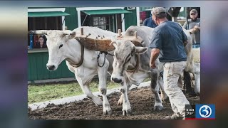 Bright Spot Durham Fair through the lens of local photographer [upl. by Eittol]