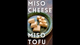 MISO MARINATED CHEESE amp TOFU shorts  Takoshiho Cooks Japan [upl. by Feenah715]