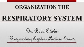 RESPIRATORY SYSTEM PART 2  CHEST WALL MECHANISMS OF VENTILATION GAS TRASNSPORT amp MALFORMATIONS [upl. by Nimaynib]