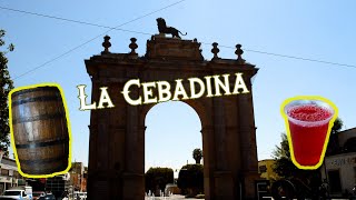 CEBADINA 🍷la Bebida que no conocías 😯 [upl. by Anohsal]