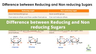 Difference between Reducing and Non reducing Sugars [upl. by Royal490]