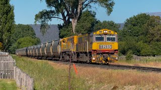 TasRail TR15 2053 45 empty coal train crossing Champ Street Fingal [upl. by Koenraad802]