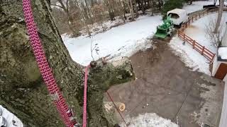 Arborist Advanced Rigging tips and tricks [upl. by Alana]