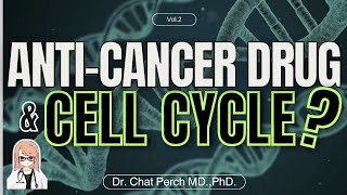 【The Key Point explained】Cell CycleSpecific Anticancer Drugs【AntiCancer Drug Pharmacology】 [upl. by Nomrej]