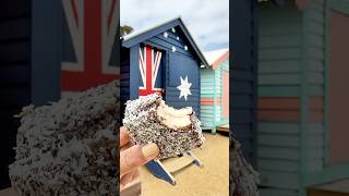 Lamington Cake Australia’s famed dessert [upl. by Nnaasil]