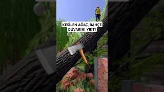 DEVRİLEN AĞAÇ BAHÇE DUVARINI YIKTI fs22farming farmimgsimulator22 farming fs22 ls22 shorts [upl. by Jocelyn]