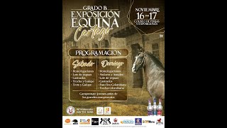 EXPOSICIÓN EQUINA GRADO B CARTAGO 2024 [upl. by Evol]