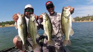 Bass Fishing Lake Camanche [upl. by Caia]