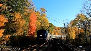 MetroNorth Railroad 2 Harlems amp 1 Wassaic Train at Purdys NY RR [upl. by Elset]