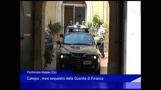 Piedimonte Matese Canapa maxi sequestro della Guardia di Finanza [upl. by Keithley]