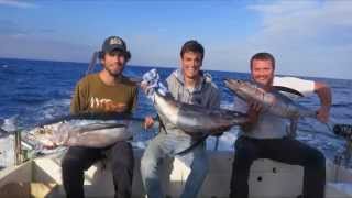 Hegaluzearen Arrantza Pesca de Bonito del Norte Fishin thunnus alalunga [upl. by Areis]