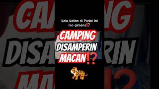 Disamperin Raja Hutan⁉️kondego hiking camping traveling mountaineering gunung [upl. by Ardnola]