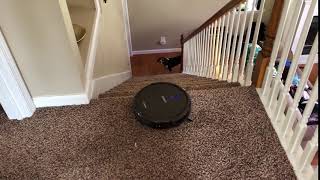 Ecovacs Deetbot N79S Stair Test [upl. by Sarkaria]