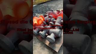 Clsed die forging and Valve forging industrial castingprocess forgings coldforgingmanufacturing [upl. by Ihcekn]